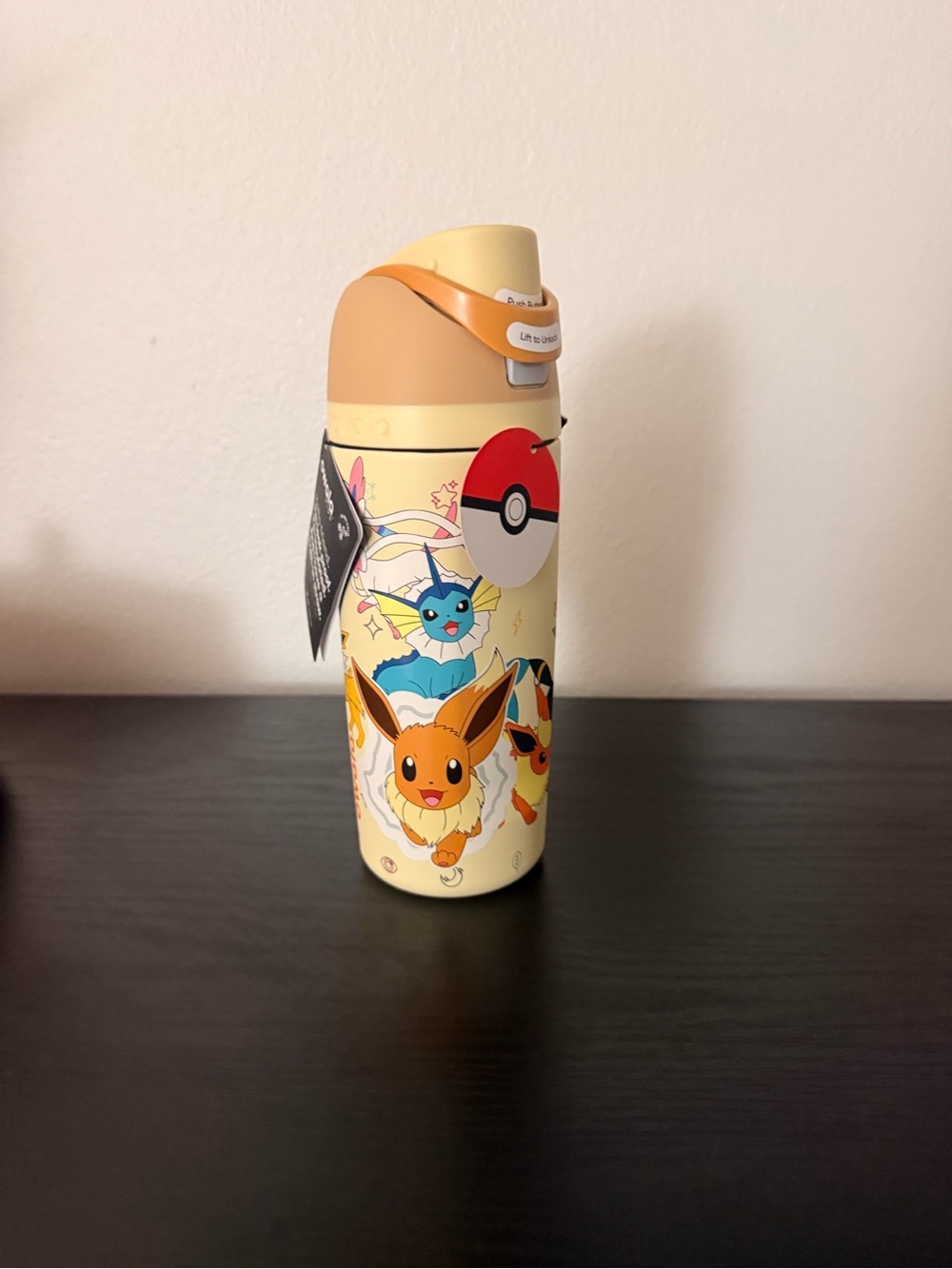 Pokémon Eevee & Evolutions Owala water Bottle